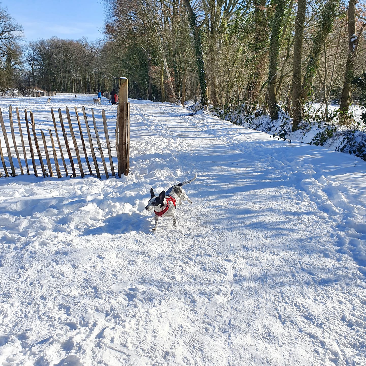 Fris het Nieuwe Jaar In: Opruimen, Bewegen & Vernieuwen