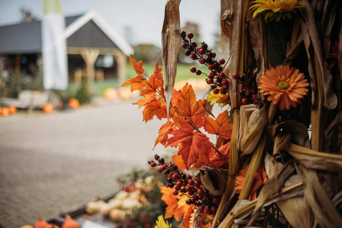 Een Bezoek aan Gerbens Pompoenschuur in Bornebroek: Een Herfstparel van de Achterhoek