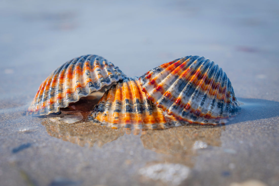 Summer Beach Collectie 2026: Zo Style Je Zeesieraden als een Fashion Insider