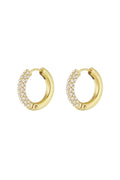 Shiny Rings oorbellen
