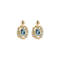 Biba Oorbellen Multicolor - Crystal & Glas | Goud | 45x30mm