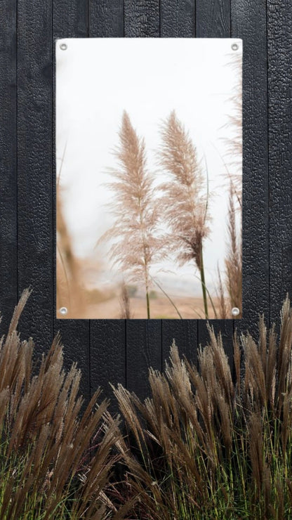 Garden poster Pampas grass