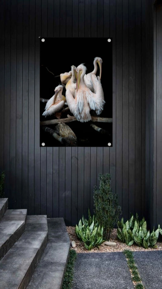 Garden poster Pelican