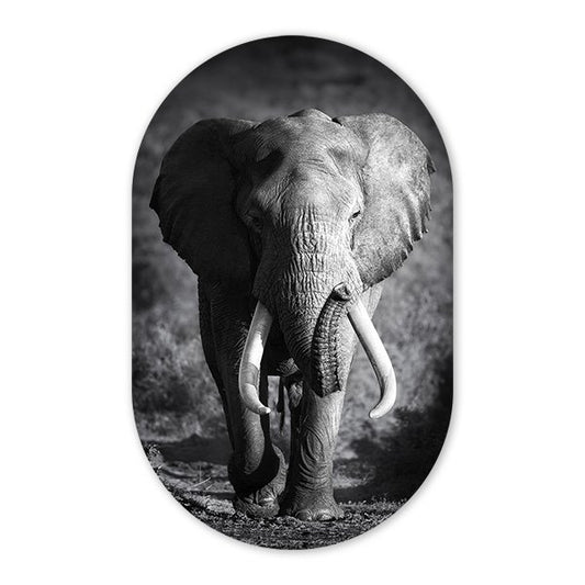 WallOval Elefant