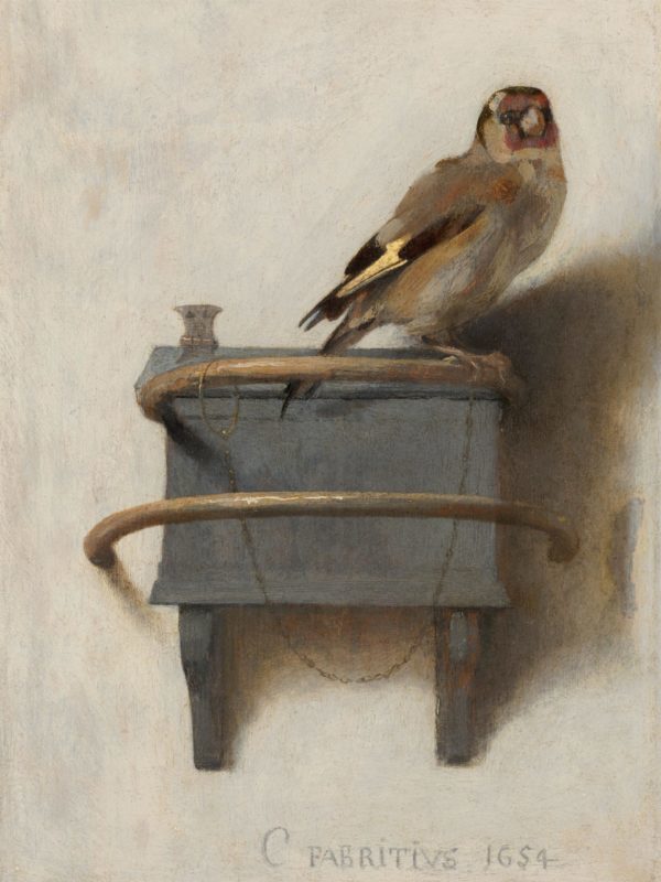 wandbord ook wel schilderij van Het Puttertje ( vogel ) van Carel Fabritius uit 1654