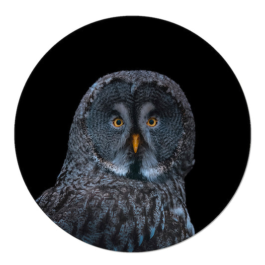 Wallpaper circle Owl