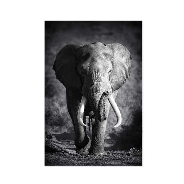 Luxus-Wanddekoration Elefant (Premium-Material und matt)