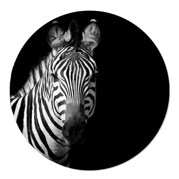 Tapete Kreis Zebra
