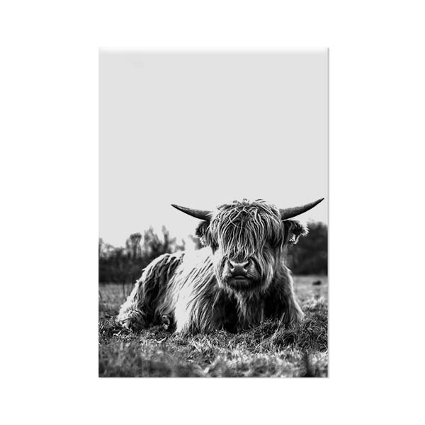 Wall plate wall art the Scottish highlander lying in the grass black and white