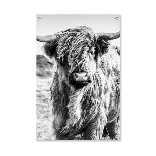 Garden poster Scottish Highlander