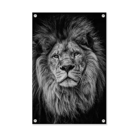 Garden poster Lion