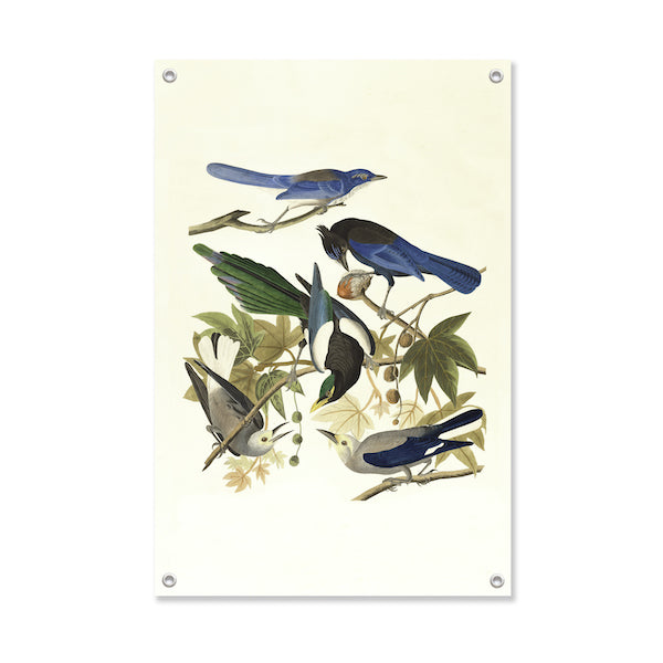 Garden poster Birds
