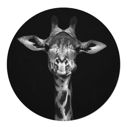 Wallpaper circle Giraffe