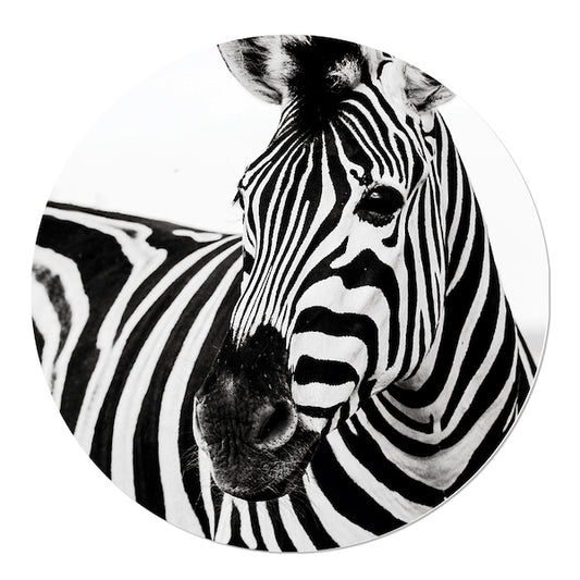 Muurcirkel Zebra